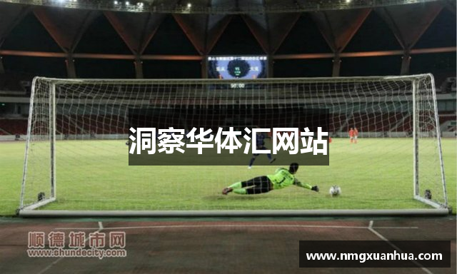 洞察华体汇网站